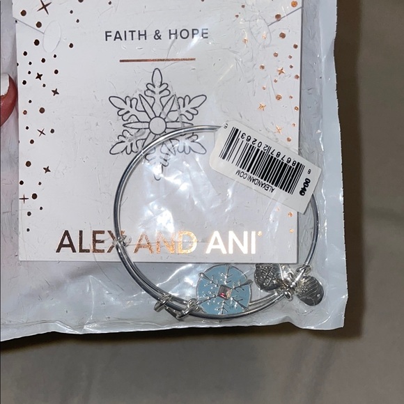 Alex and Ani Jewelry - Alex and Ani Silver Bangle Bracelet